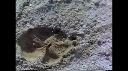 Tanrilar Cildirmis Olmali 2 Turkce Dublaj Aksiyon Komedi Dovus Film Yonetmen 2015 Hd