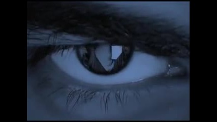 Hush, Hush Becca Fitzpatrick Book Trailer 