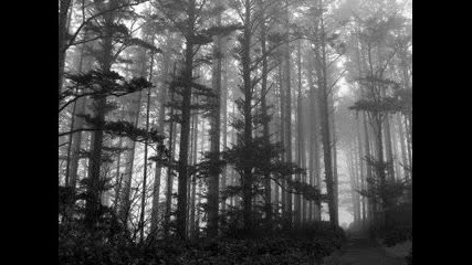 Agalloch - In the Shadow of Our Pale Companion