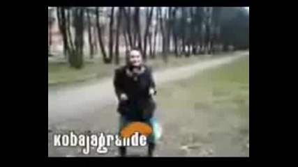 Luda Baba Nova Zika 