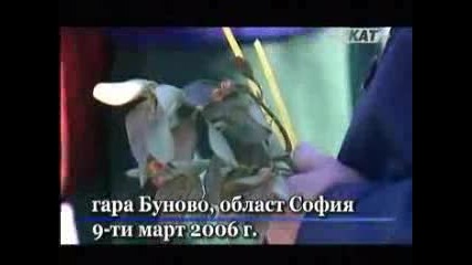Турският Тероризъм В България