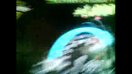 nfs 2