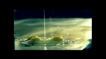 David Guetta _ Chris Willis - Love Is Gone (on Ultra Dance 1