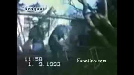 А дали не са тъпи а ?
