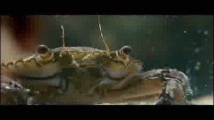 Demi Lovato & Joe Jonas - Underwater Tour Disneynature Oceans 