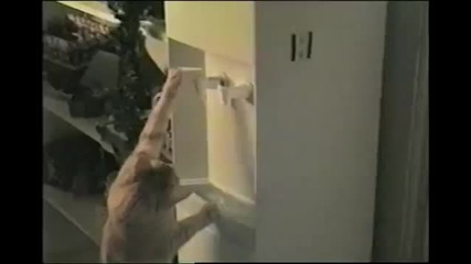 Каква ли е тази джаджа ..