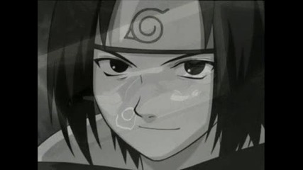 Team 7 Tribute