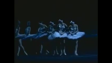 Bolshoi Swan Lake 