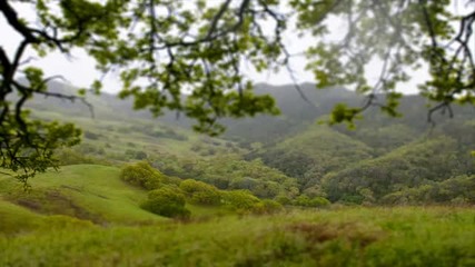 Anse Source - Green Planet
