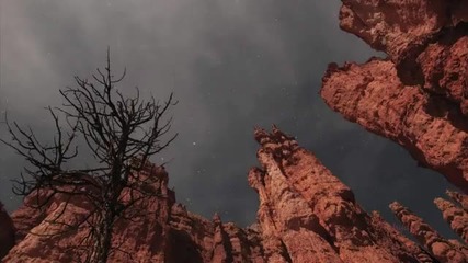 the beautiful village called earth