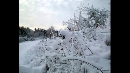 Nature Wallpapers