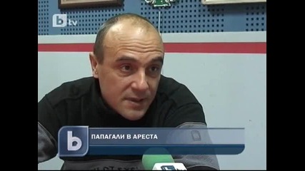 Папагали в ареста