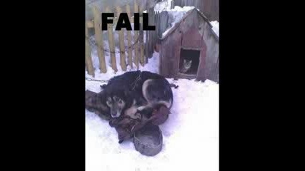Epic Fail: The Compilation