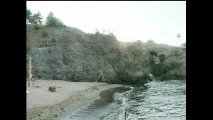 The Beach Bar Temptantion Island.