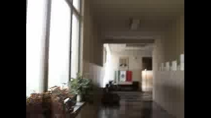 Разходка Из Училище