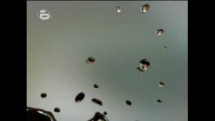 Реклама на сайта на bTV