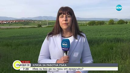 Недостиг на противоградни ракети в Монтанско: Защитена ли е реколтата