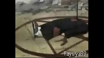 Hidan Amv