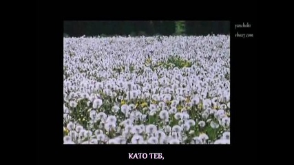 Убийствена Гръцка Балада [превод] Добър вечер / Antonis & Giannis Vardis - Kalo vradu