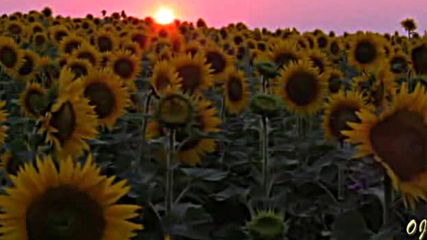 Sunset in the summer - Music Nikos Ignatiadis