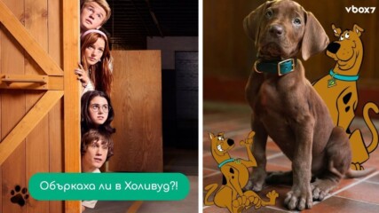 Истинско куче в сериала "Скуби-Ду" предизвика вълна от недоволство сред феновете👀💥