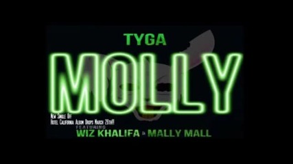 Tyga Ft Wiz Khalifa & Mally Mall - Molly !cool!