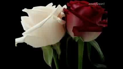 Sarah Connor - Living to love you