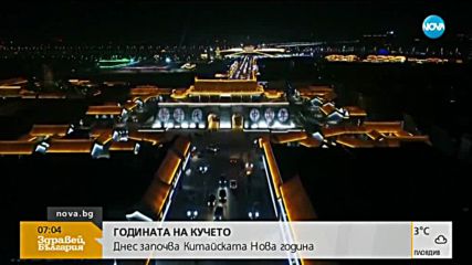 Светът посрещна Годината на кучето