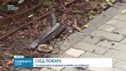 Новините на NOVA NEWS (25.01.2025 - 20:00)