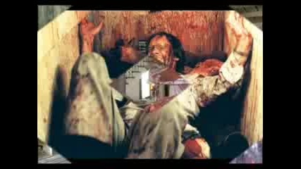 Brutal Movie