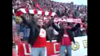 Gopa I Shopa 31