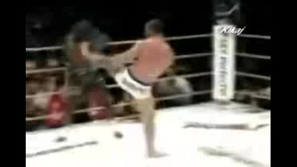 Wanderlei Silva