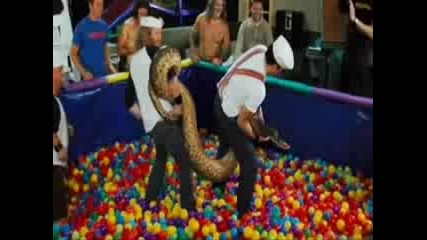 Jackass The Movie