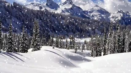 Весела Коледа и Щастлива Нова година2011 
