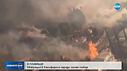 Новините на NOVA (06.12.2017 - късна)