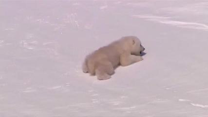Best of Planet Earth