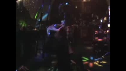 Animassacre - She said