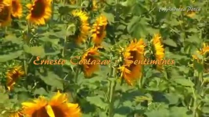 Ernesto Cortazar - Sentiments(relaxing, romantic music)
