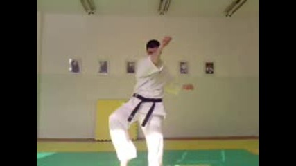 Berseks karate technics 