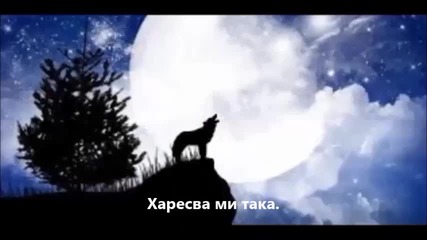 Вълчица!