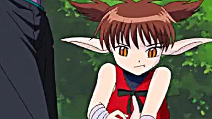 Tokyo Mew Mew 44
