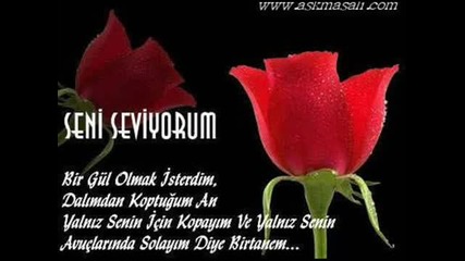 Toygar Isikli - Sardunyalar
