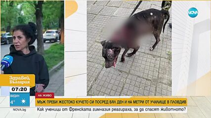 Мъж преби кучето си пред очите на деца, има съмнение и за сексуално насилие над животното