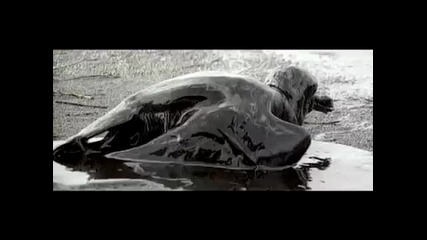 Linkin Park - What Ive Done