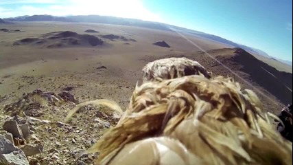 Gopro Камера върху орел