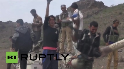 Yemen: Saudi-backed militia fighters take Dalea