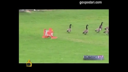Новини - трепач / Господари на ефира
