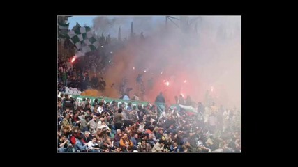 Beroe