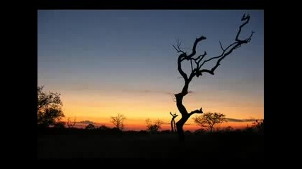 Wonderful Africa Chill Out Music