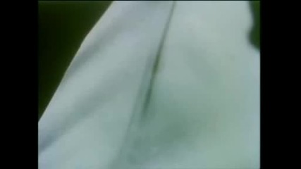 Mike Oldfield - Incantations - Space Movie 2